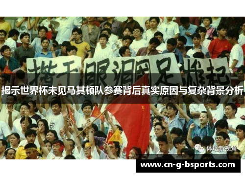 揭示世界杯未见马其顿队参赛背后真实原因与复杂背景分析
