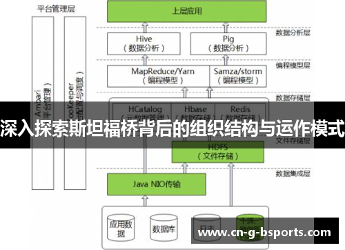 深入探索斯坦福桥背后的组织结构与运作模式 深入探索斯坦福桥背后的组织结构与运作模式