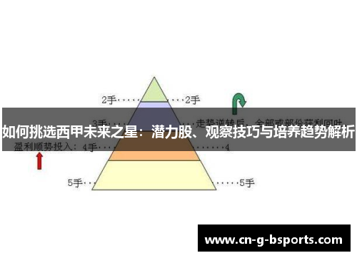 如何挑选西甲未来之星：潜力股、观察技巧与培养趋势解析