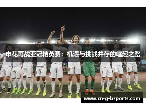 申花再战亚冠精英赛：机遇与挑战并存的崛起之路